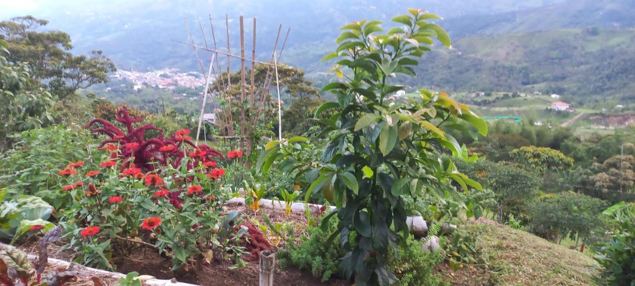 Ecohotel Soplo Del Tambo كوكورنا المظهر الخارجي الصورة