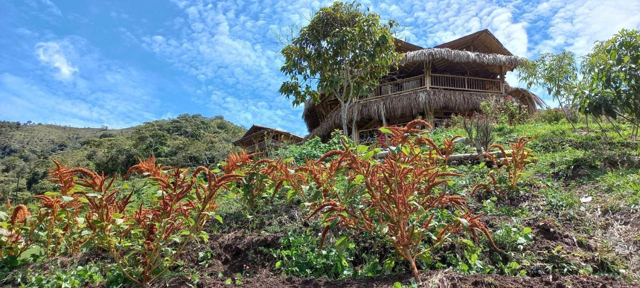 Ecohotel Soplo Del Tambo كوكورنا المظهر الخارجي الصورة