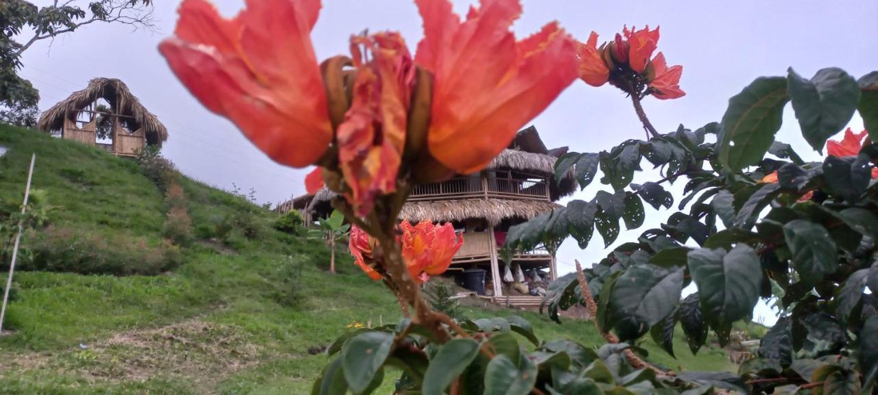 Ecohotel Soplo Del Tambo كوكورنا المظهر الخارجي الصورة