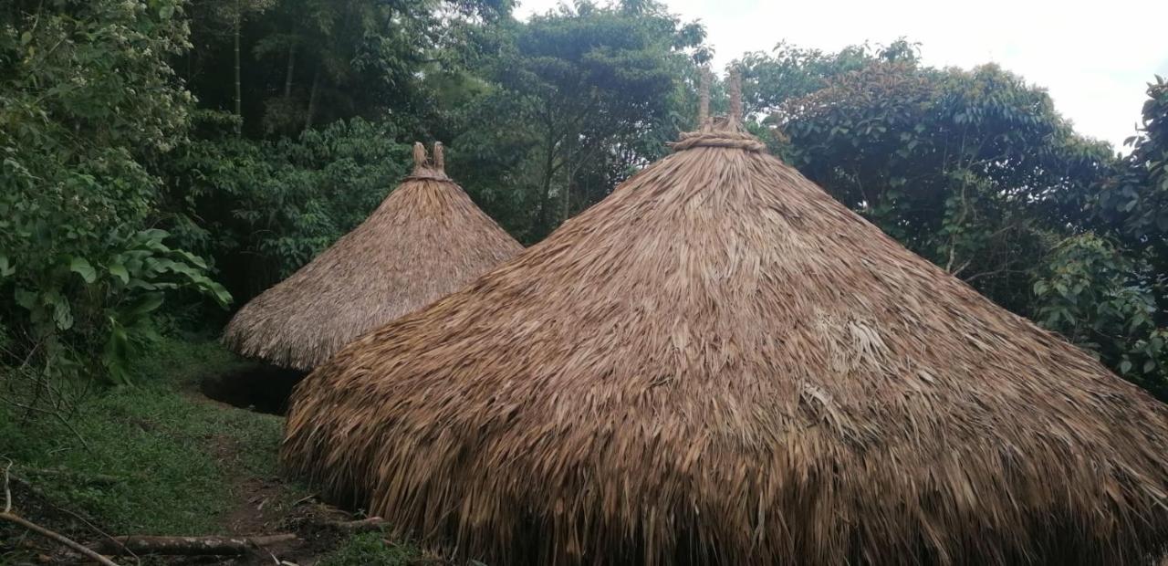 Ecohotel Soplo Del Tambo كوكورنا المظهر الخارجي الصورة